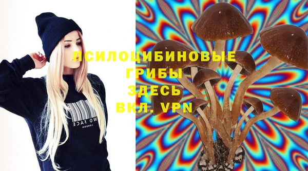 экстази Алексеевка