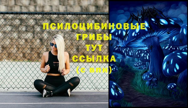 2c-b Абинск