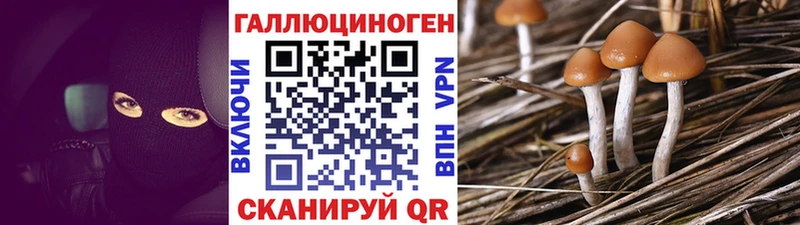 купить закладку  Дербент  ссылка на мегу сайт  Галлюциногенные грибы GOLDEN TEACHER 